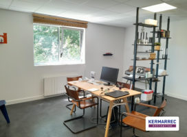 achat Local d'activité 480.00 m² Pacé 35