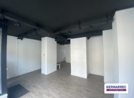 achat Local Commercial 55.00 m² Rennes 35