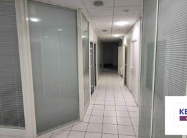 location Bureaux 196.00 m² Nantes 44