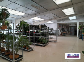 location Local d'activité 1600.00 m² Betton 35