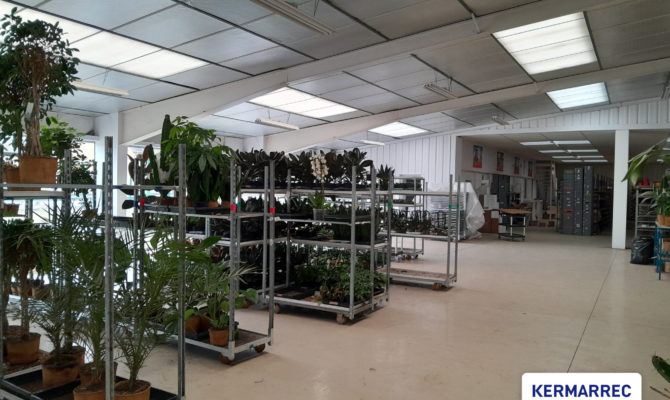location Local d'activité 1600.00 m²