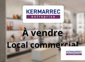 achat Local Commercial 67.00 m² Pontivy 56