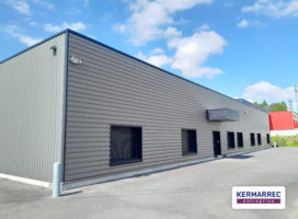 achat Local d'activité 1080.00 m² Melesse 35