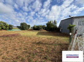 achat Local Commercial 1500.00 m² Ploeren 56