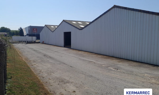 achat Local d'activité 3000.00 m²