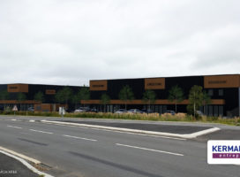 achat Local d'activité 230.00 m² La Mézière 35
