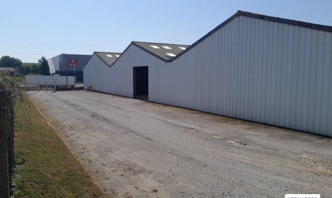 achat Local d'activité 3000.00 m²