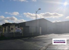 achat Local d'activité 600.00 m² Tinténiac 35