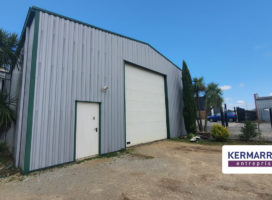 location Local d'activité 288.00 m² Plougoumelen 56