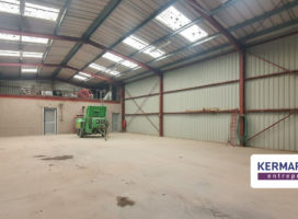 location Local d'activité 288.00 m² Plougoumelen 56