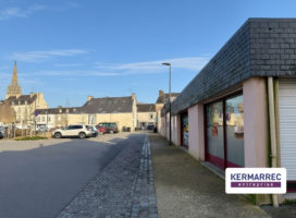 achat Local Commercial 320.00 m² 56