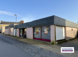 achat Local Commercial 320.00 m² 56
