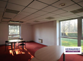 achat Local d'activité 950.00&nbsp;m² Betton 35