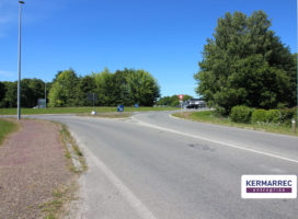 achat Local d'activité 100.00 m² La Mézière 35