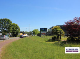 achat Local d'activité 100.00 m² La Mézière 35