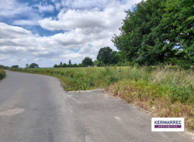 achat Local d'activité 1.00 m² La Mézière 35