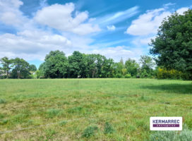 achat Local d'activité 1.00 m² La Mézière 35