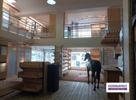 achat Local Commercial 400.00 m² Nantes 44