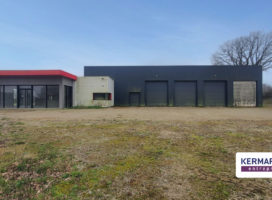 achat Local d'activité 818.00 m² Plumelin 56