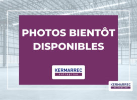 achat Bureaux 273.40&nbsp;m² Bruz 35