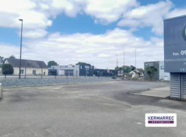 achat Local d'activité 680.00 m² La Mézière 35