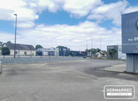 achat Local d'activité 680.00 m² La Mézière 35