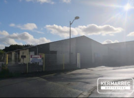 achat Local d'activité 600.00 m² Tinténiac 35