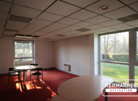achat Local d'activité 950.00 m² Betton 35