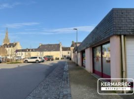 achat Local Commercial 320.00 m² Sainte-Anne-d'Auray 56