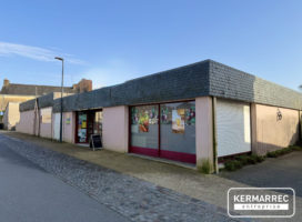 achat Local Commercial 320.00 m² Sainte-Anne-d'Auray 56