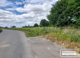 achat Local d'activité 1.00 m² La Mézière 35