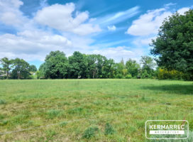 achat Local d'activité 1.00 m² La Mézière 35