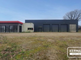 achat Local d'activité 818.00 m² Plumelin 56