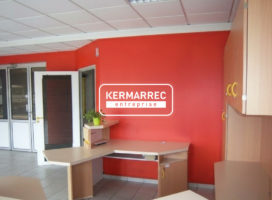 achat Local d'activité 450.00 m² Saint-Aubin-du-Cormier 35
