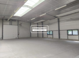 achat Local d'activité 480.00 m² La Mézière 35